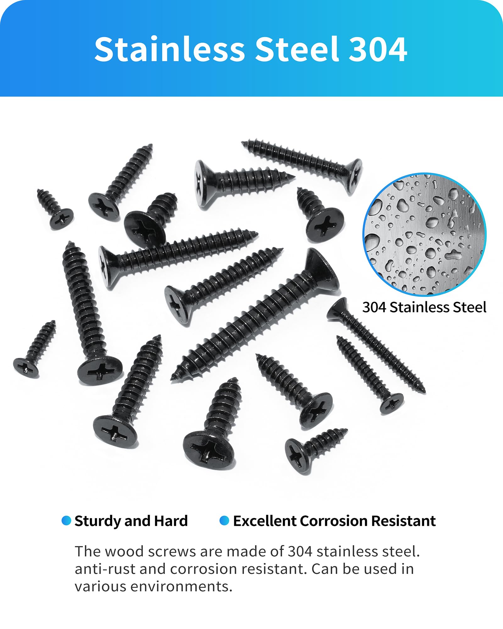 DIVANC 550Pcs 304 Stainless Steel Wood Screws Assortment Kit, Phillips Pan Head Sheet Metal Screws Self Tapping Screws Set, #4#6#8#10#12 Wood Assorted Screw